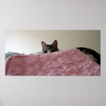Peek a boo print