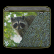 Peek-A-Boo Raccoon iPad Sleeve ipad sleeves