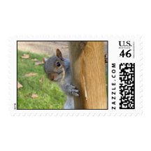 Peek-a-Boo! Stamp
