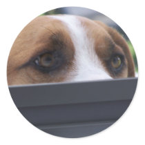 Peek-A-Boo stickers