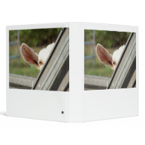 Peek a boo white goat! Cute goat waiting picture 3 Ring Binder