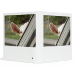 Peek a boo white goat! Cute goat waiting picture binders