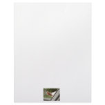 Peek a boo white goat! Cute goat waiting picture Customized Letterhead