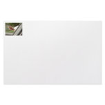 Peek a boo white goat! Cute goat waiting picture Personalized Stationery