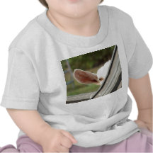 Peek a boo white goat! Cute goat waiting picture Tees