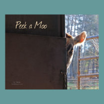 Peek a Moo! posters