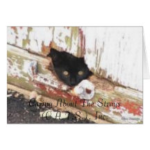 Peek and Boo Notecard