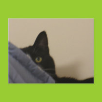 PEEK  Postcard