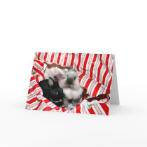 Peekaboo Christmas bunnies cards