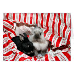 Peekaboo Christmas bunnies Cards