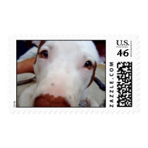 Peekaboo! postage by gubanich Peekaboo! postage