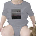 Peekaboo Siamese Kitten Shirt shirt