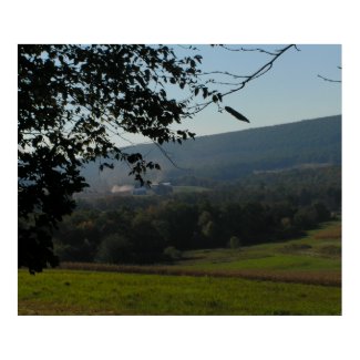 Peeking at Mountains Poster / Print print