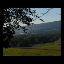 Peeking at Mountains Poster / Print posters