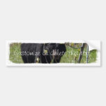 Peeking Bear; Customizable Bumper Stickers