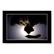 Peeking Cat II posters by pauljohnkurf Peeking Cat II posters