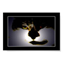 Peeking Cat II posters