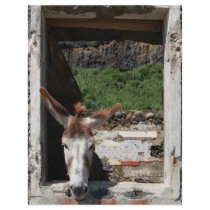 Peeking donkey custom flyer