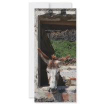 Peeking donkey rack cards by gavila_pt Peeking donkey rack cards