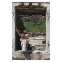 Peeking donkey custom stationery