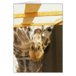 Peeking giraffe card