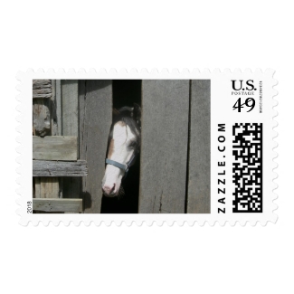 Peeking Horse