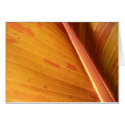 Peeking In Card by PetalsNRoaches Peeking In Card