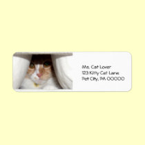 Peeking Kitten Return Address Labels labels