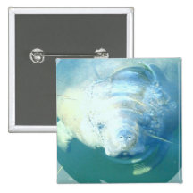Peeking Manatee  Button