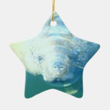 Peeking Manatee  Ornament