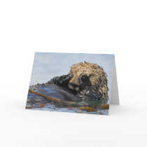 Peeking Sea Otter Card by wildlifehotspots Peeking Sea Otter Card