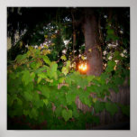 Peeking Sun Poster