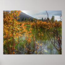 Peeking Through the Brush Posters