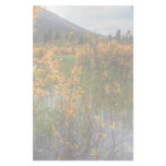 Peeking Through the Brush stationery