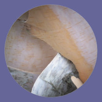 Peeling Birch stickers