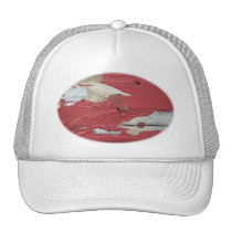 Peeling Paint Hat hats