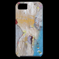 Peeling paint casemate cases