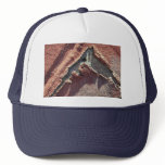 Peeling Red Stucco hats