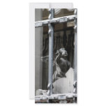 Peering Out Personalized Rack Card