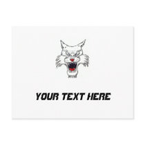 Peewee Metro Wildcats Under 12 Postcards