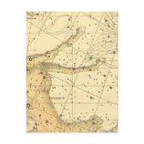 Pegasus and Equuleus Postcard