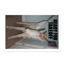 PEGASUS and Hunter S. Thomcat posters