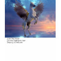 Pegasus LTH tee t-shirts