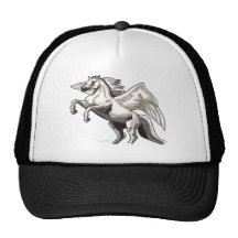 Pegasus Mesh Hat