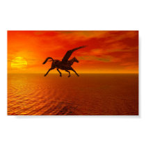 Pegasus posters by Winter Pegasus posters