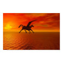Pegasus posters by Winter Pegasus posters