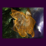 Pegasus
