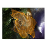 Pegasus