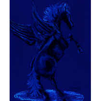 pegasus t-shirts