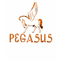 Pegasus t-shirts